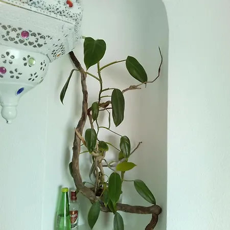 Luksusowe Mieszkanie Z Basenem, Widokiem Na Ocean Blisko Plazy Apartment